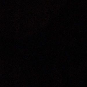 Meet your Posher, Dayley